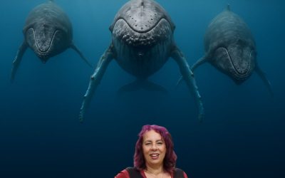 Did your Whale just become a Fish?